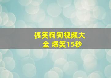 搞笑狗狗视频大全 爆笑15秒